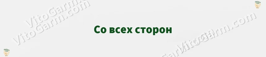 Со всех сторон